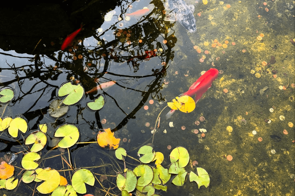 Bipolar Bozukluğun Psikodinamik Kökleri blog resmi