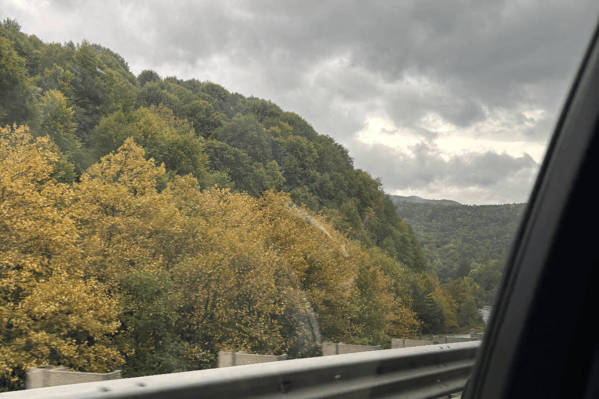 Benliğini Unutan İyilik: Özveri Şeması blog resmi