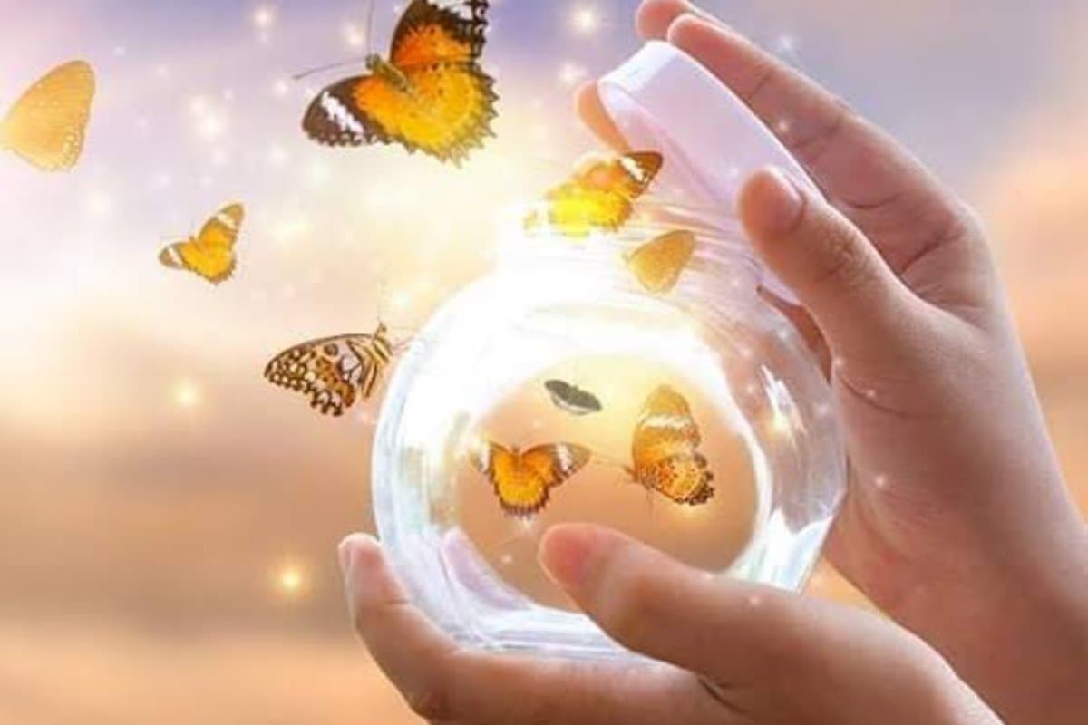 gelisim-ve-donusume-hosgeldin