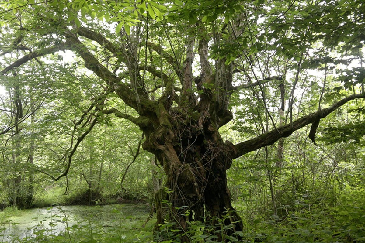 kotu-seyler-neden-hep-ust-uste-gelir