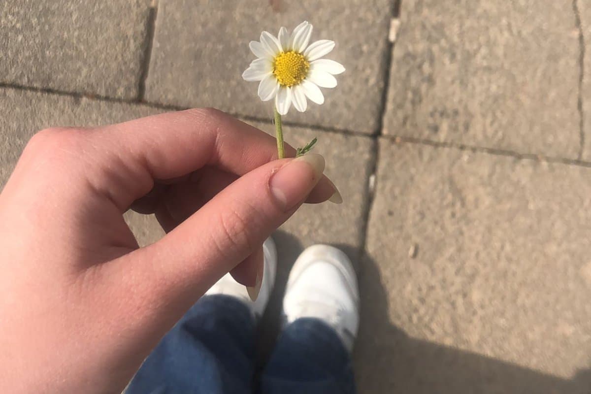 oz-elestirinin-hayatimizdaki-onemi