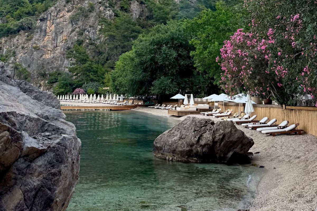 elif-durmus